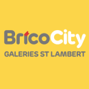 Brico City