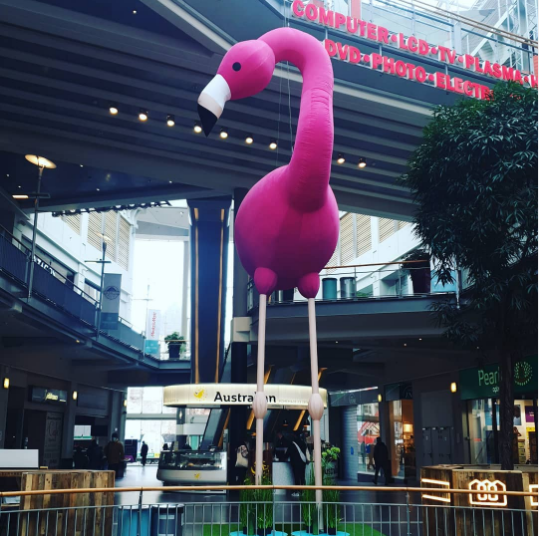#LaVieEnRose 