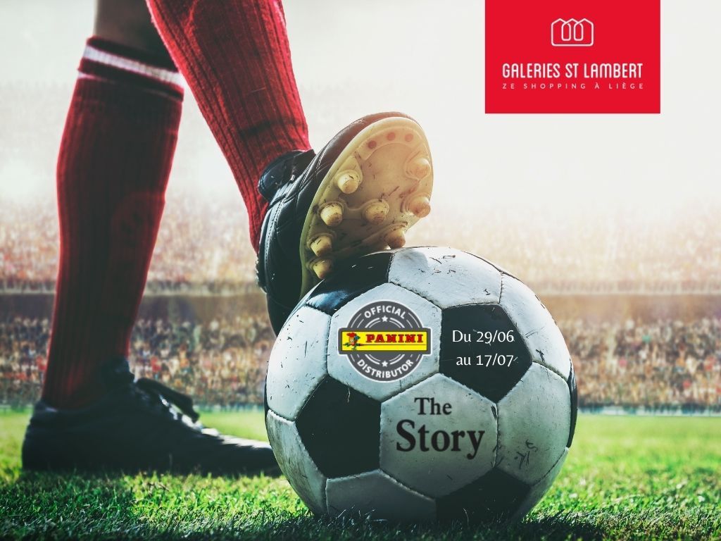 Panini The Story