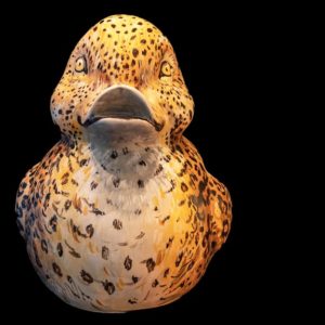 Ducks'Art - Le canard réalisé par Pascal Falisse