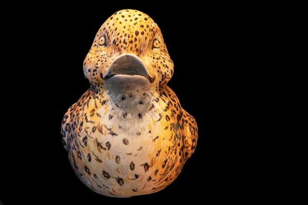 Ducks'Art - Le canard réalisé par Pascal Falisse