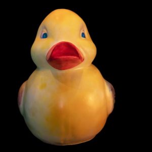 Ducks'Art - Le canard réalisé par Philippe Waxweiler