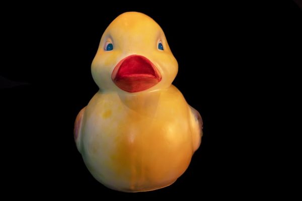 Ducks'Art - Le canard réalisé par Philippe Waxweiler