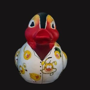 Ducks'Art - Le canard réalisé par l'ESA Saint Luc Liège - section BD