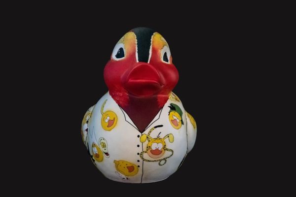 Ducks'Art - Le canard réalisé par l'ESA Saint Luc Liège - section BD